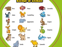 8+ Dobble spot it carte gioco con animali, alfabeti e numeri
