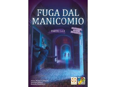 Fuga dal manicomio