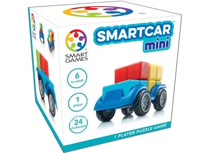 SmartCar Mini