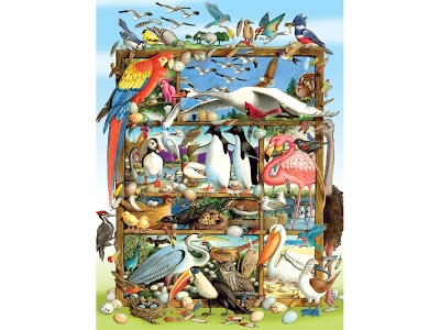 Puzzle Uccelli del Mondo 350 pezzi XL Family