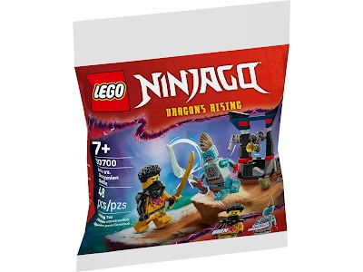 Lego Ninjago 30700 Battaglia di Arin vs. Dragoniano